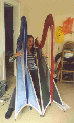 "Millennium" 36-string harp